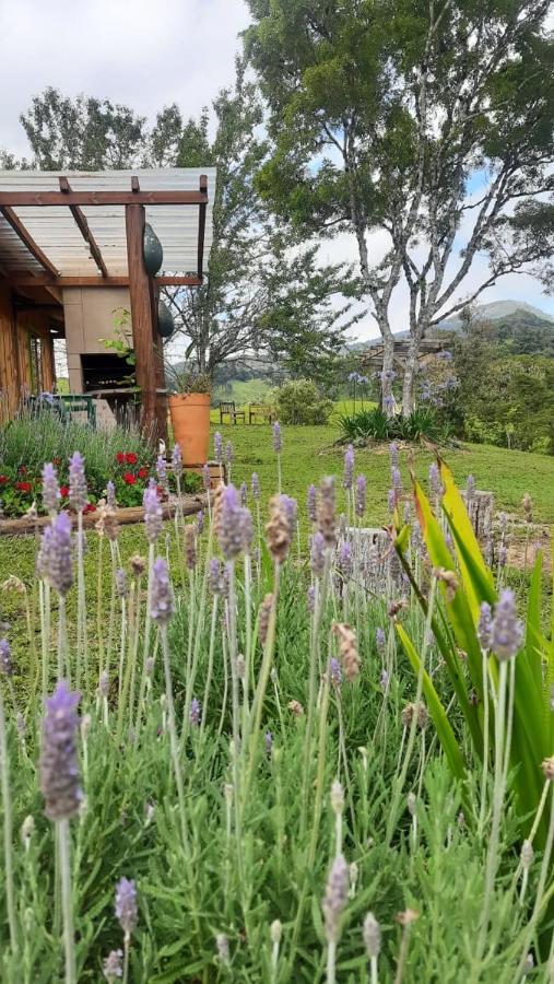 Sítio Recanto da Guarda Distrik Bom Retiro Bagian luar foto